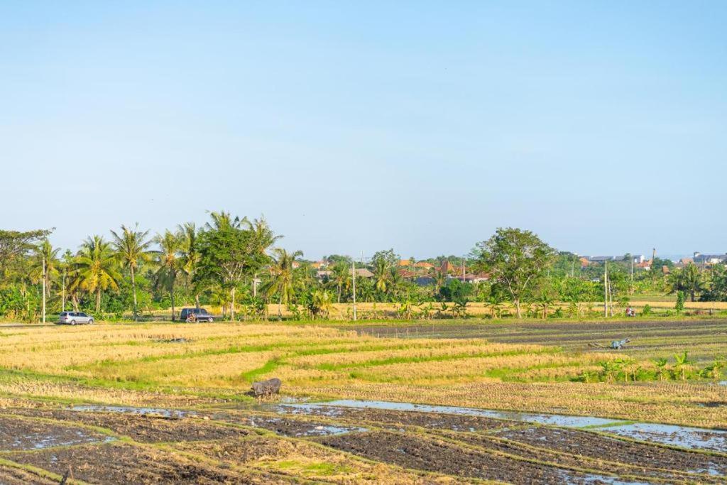 Pondok Lulik Seseh Beach Munggu Dış mekan fotoğraf